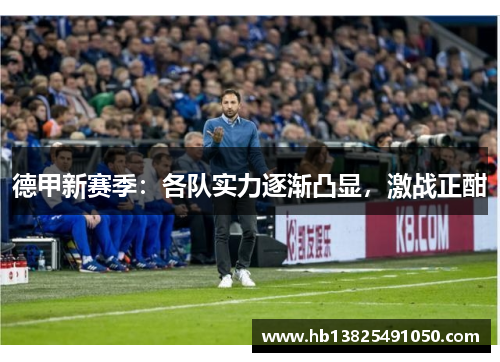 德甲新赛季：各队实力逐渐凸显，激战正酣